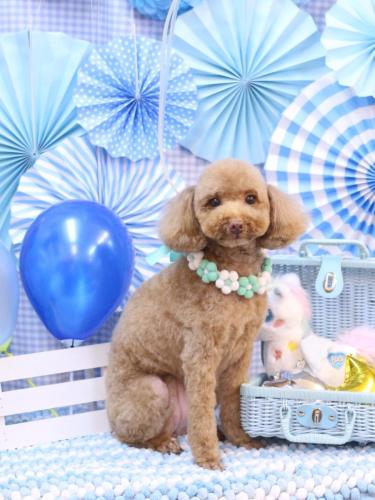 20231118モカちゃん